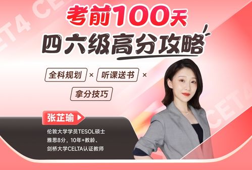 新东方四六级考前100天高分攻略 英语四级培训课程网课 新东方在线官网